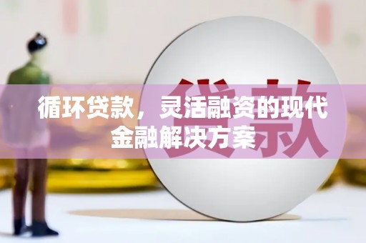 崇左循环贷款，灵活融资的现代金融解决方案