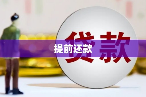 崇左提前还款