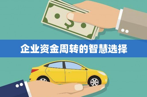 崇左企业资金周转的智慧选择