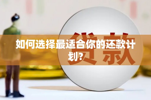 崇左如何选择最适合你的还款计划？