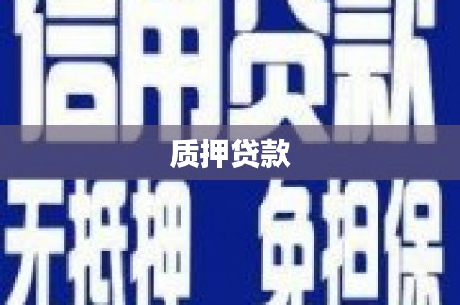 崇左质押贷款