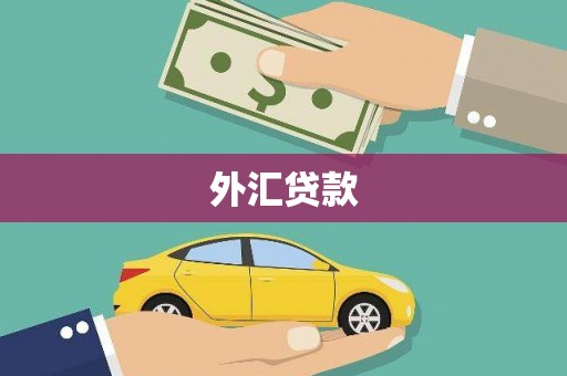 崇左外汇贷款