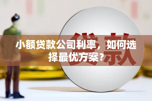 崇左小额贷款公司利率，如何选择最优方案？