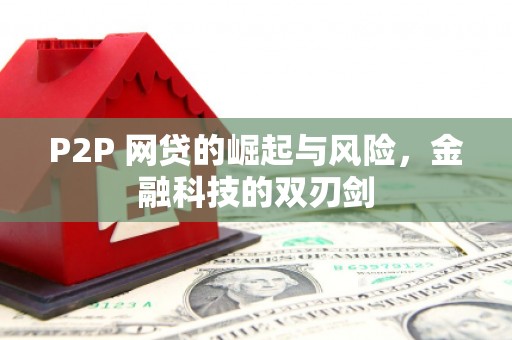 崇左P2P 网贷的崛起与风险，金融科技的双刃剑