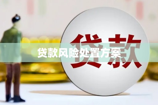 崇左贷款风险处置方案