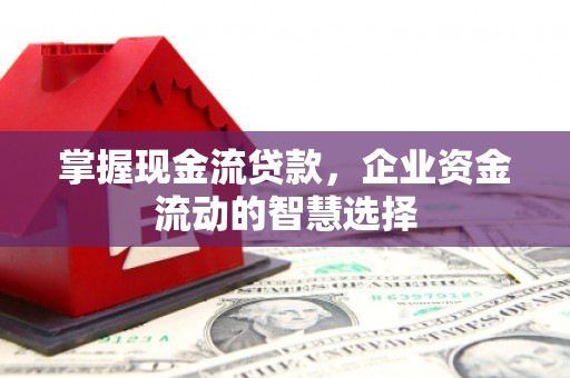 崇左掌握现金流贷款，企业资金流动的智慧选择