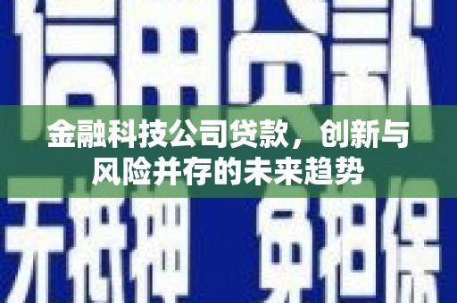 崇左金融科技公司贷款，创新与风险并存的未来趋势