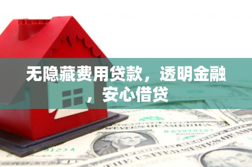 崇左无隐藏费用贷款，透明金融，安心借贷