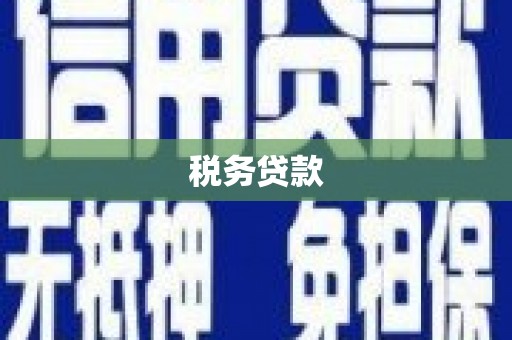 崇左税务贷款