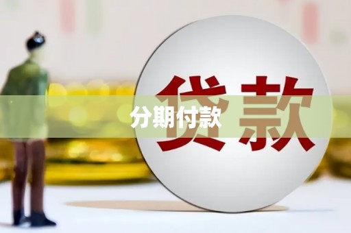崇左分期付款
