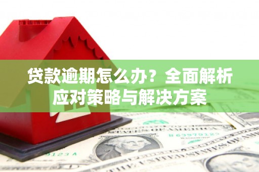 崇左贷款逾期怎么办？全面解析应对策略与解决方案