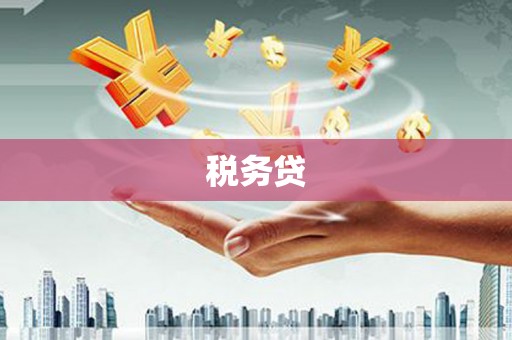 崇左税务贷