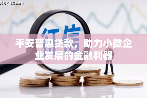 崇左平安普惠贷款，助力小微企业发展的金融利器