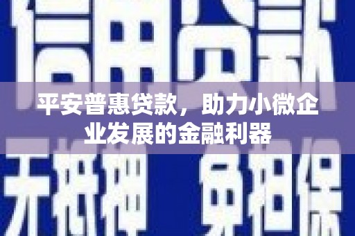 崇左平安普惠贷款，助力小微企业发展的金融利器