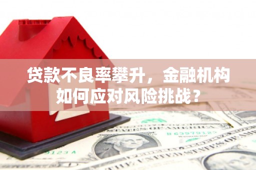 崇左贷款不良率攀升，金融机构如何应对风险挑战？