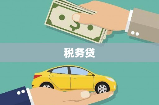 崇左税务贷