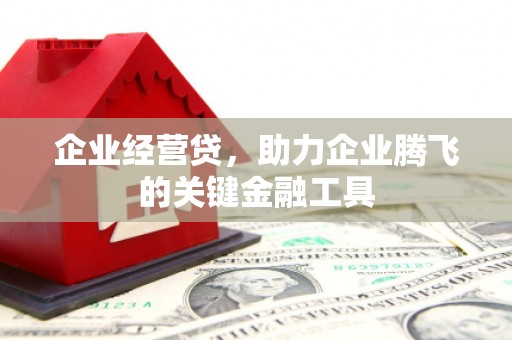 崇左企业经营贷，助力企业腾飞的关键金融工具