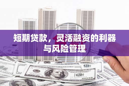 崇左短期贷款，灵活融资的利器与风险管理