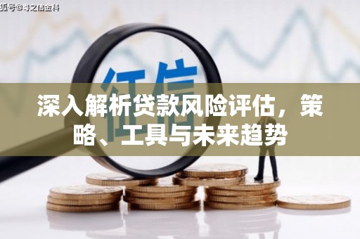 崇左深入解析贷款风险评估，策略、工具与未来趋势