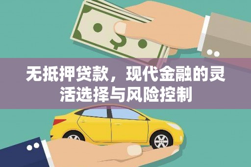 崇左无抵押贷款，现代金融的灵活选择与风险控制