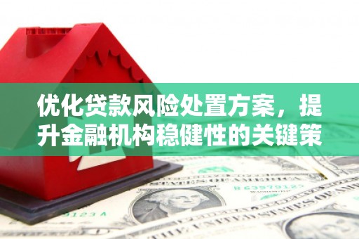 崇左优化贷款风险处置方案，提升金融机构稳健性的关键策略