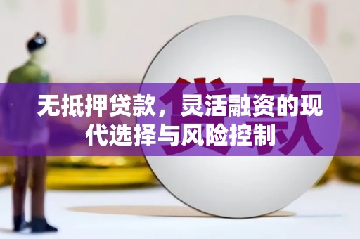 崇左无抵押贷款，灵活融资的现代选择与风险控制