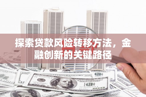 崇左探索贷款风险转移方法，金融创新的关键路径