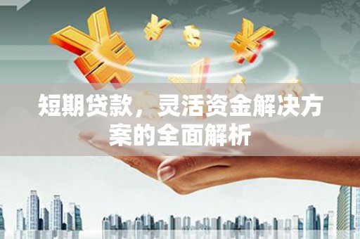 崇左短期贷款，灵活资金解决方案的全面解析