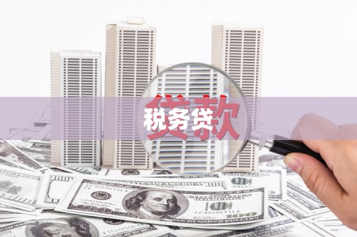 崇左税务贷