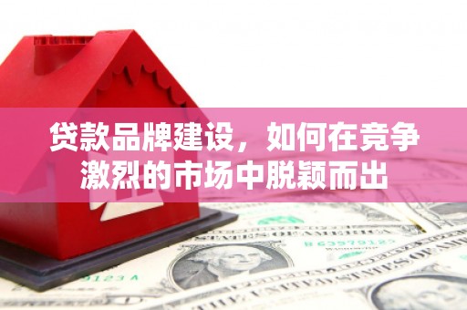 崇左贷款品牌建设，如何在竞争激烈的市场中脱颖而出