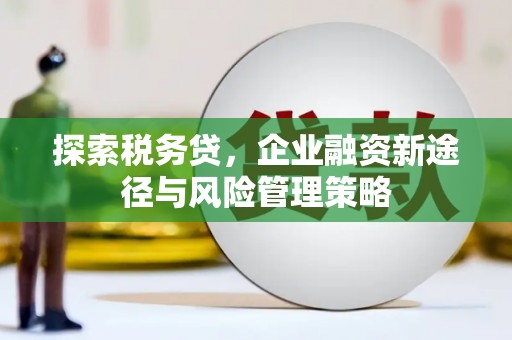 崇左探索税务贷，企业融资新途径与风险管理策略