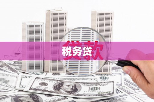 崇左税务贷