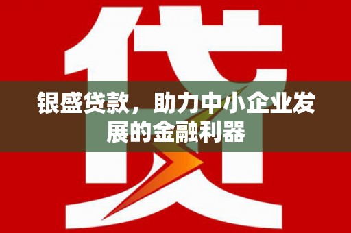 崇左银盛贷款，助力中小企业发展的金融利器