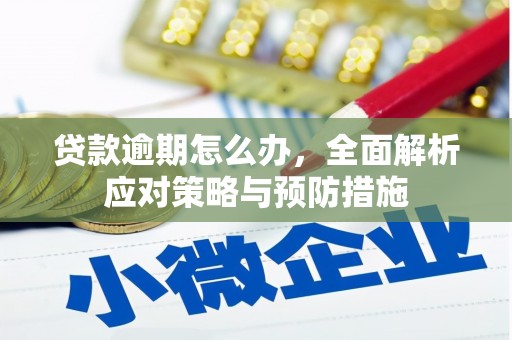 崇左贷款逾期怎么办，全面解析应对策略与预防措施
