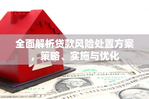 崇左全面解析贷款风险处置方案，策略、实施与优化