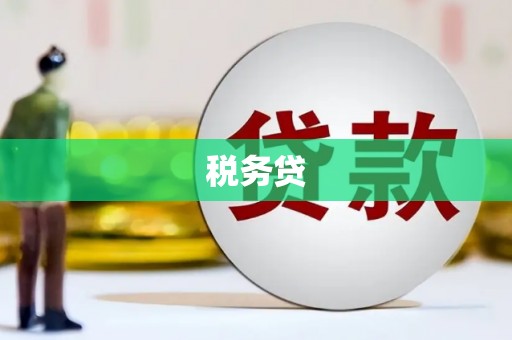 崇左税务贷