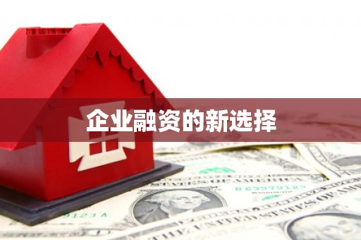崇左企业融资的新选择