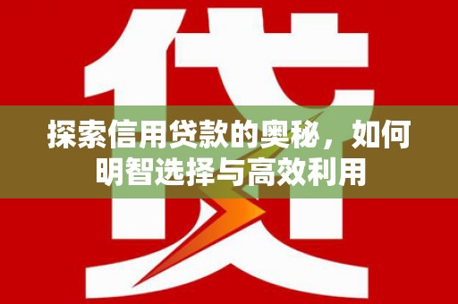 崇左探索信用贷款的奥秘，如何明智选择与高效利用