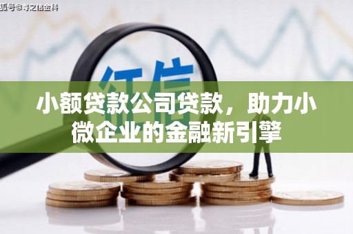 崇左小额贷款公司贷款，助力小微企业的金融新引擎