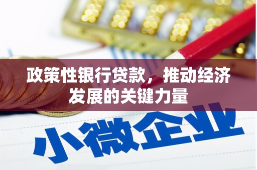 崇左政策性银行贷款，推动经济发展的关键力量