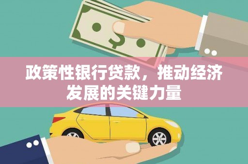 崇左政策性银行贷款，推动经济发展的关键力量