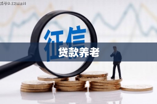 崇左贷款养老