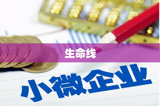 崇左生命线