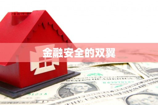 崇左金融安全的双翼