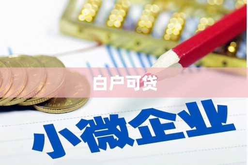崇左白户可贷