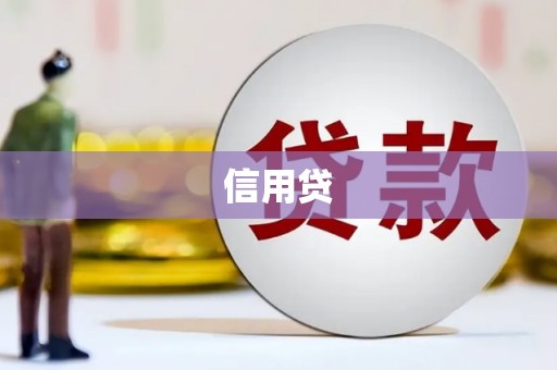 崇左信用贷