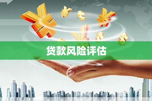 崇左贷款风险评估