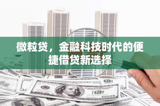 崇左微粒贷，金融科技时代的便捷借贷新选择
