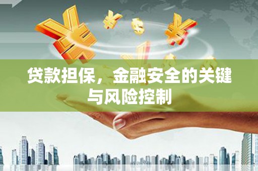 崇左贷款担保，金融安全的关键与风险控制