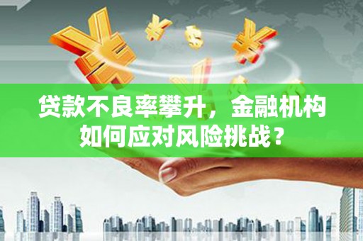 崇左贷款不良率攀升，金融机构如何应对风险挑战？